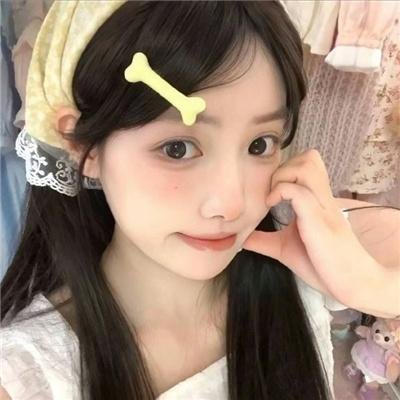我的青春道馆封面
